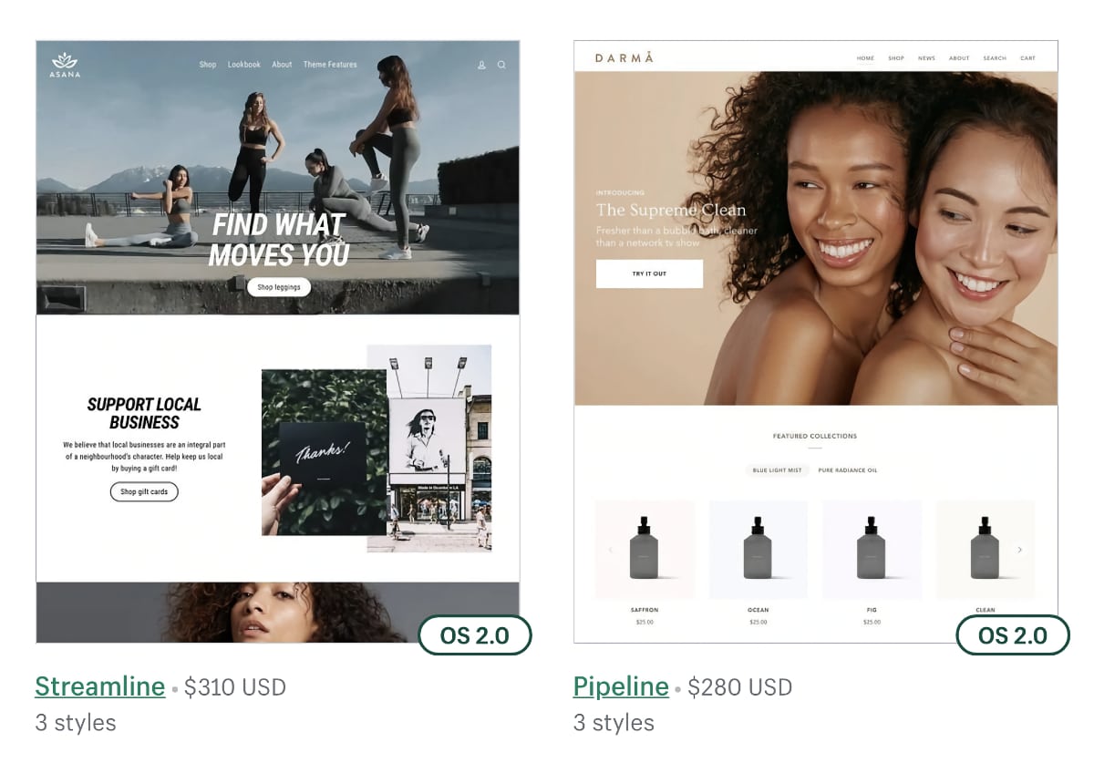 Shopify store template examples